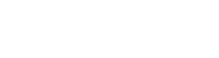 Socio Financiero
